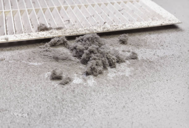 Best Commercial Air Duct Cleaning  in Hudsonville, MI