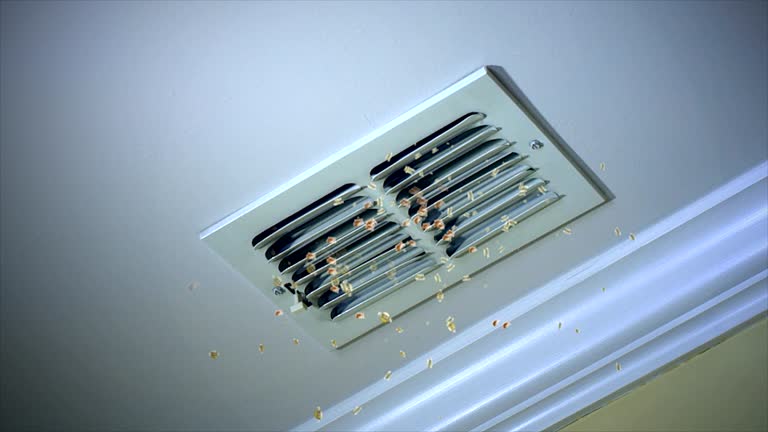 Best Best Air Duct Cleaning Company  in Hudsonville, MI
