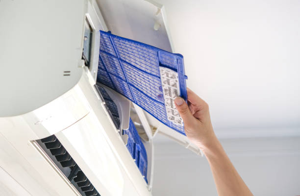 Best HVAC Duct Inspection Services  in Hudsonville, MI