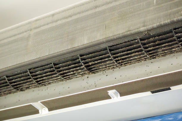 Best Affordable Air Duct Cleaning  in Hudsonville, MI